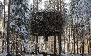 The Bird's Nest1