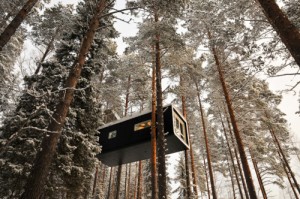 Photos from TreeHotel, Harads, Arctic Sweden