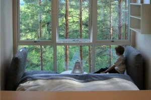 The Cabin2