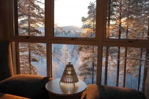 The Cabin3