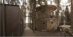 The Tree Sauna2